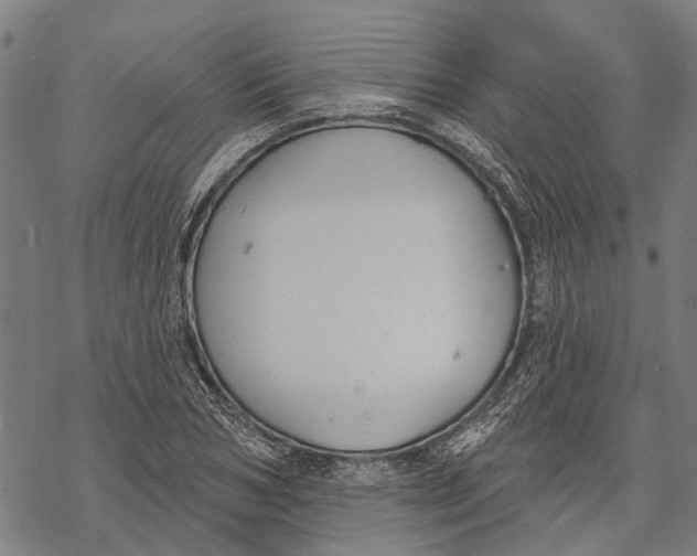 X0000068840978200605261636