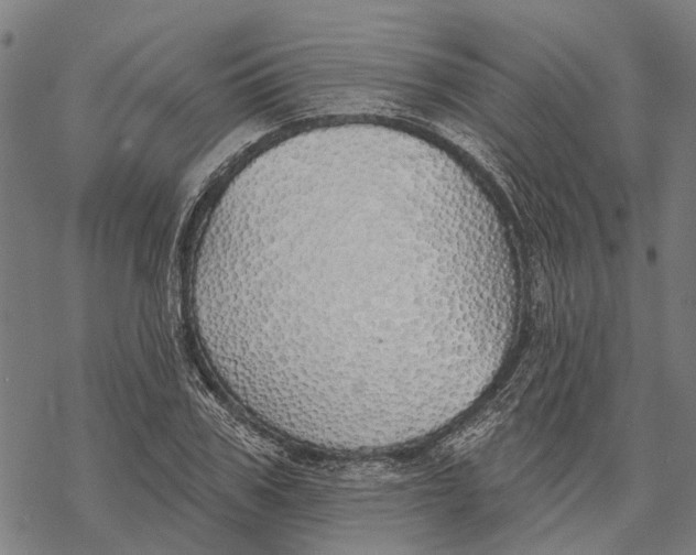 X0000068840979200605261636