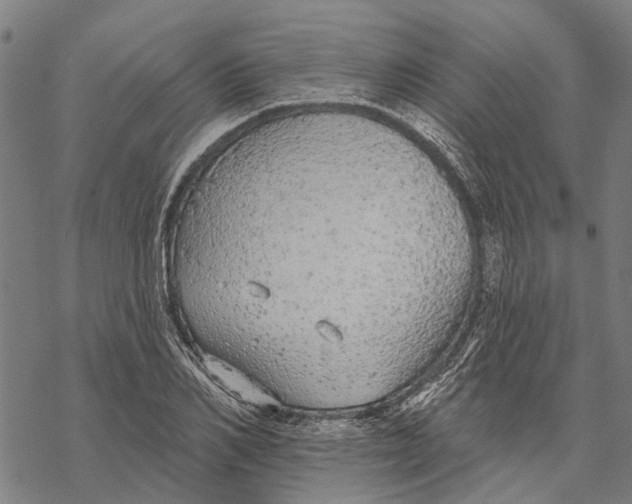 X0000068840982200605261636