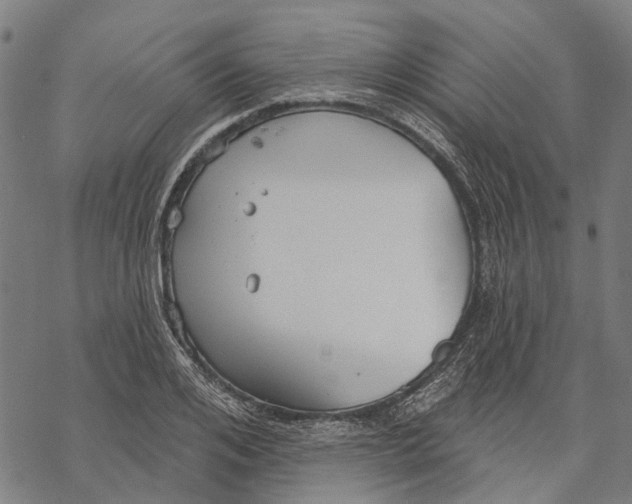 X0000068840984200605261636