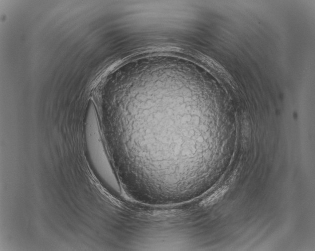 X0000068840985200605261636