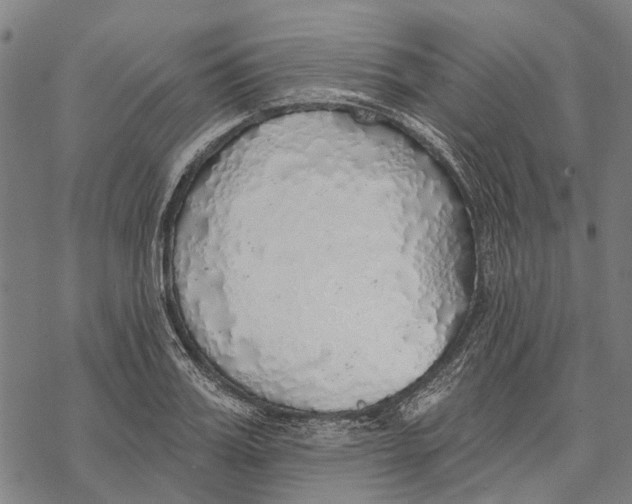 X0000068840987200605261636