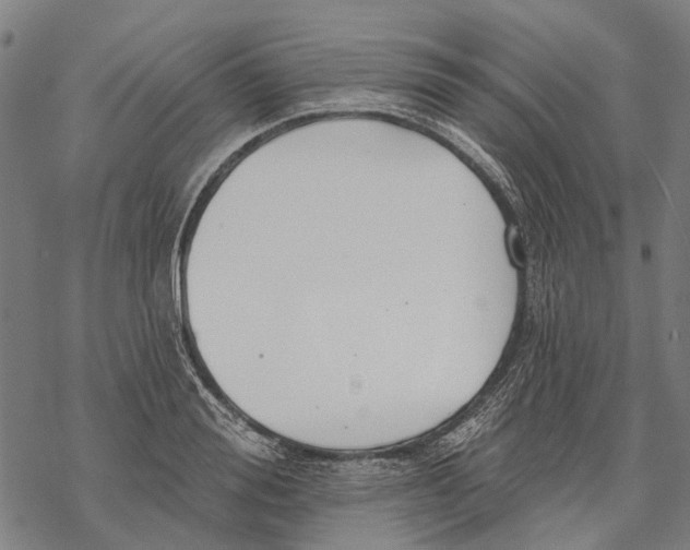 X0000068840988200605261636