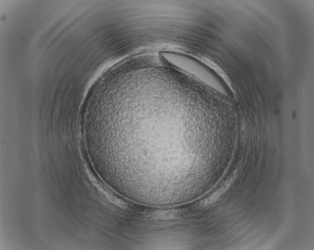 X0000068840989200605261636