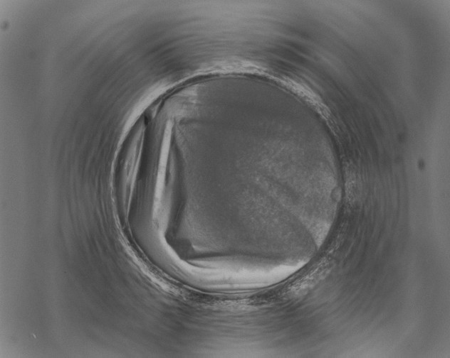 X0000068840990200605261636