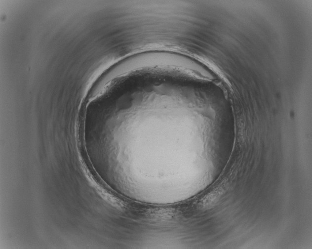 X0000068840991200605261636