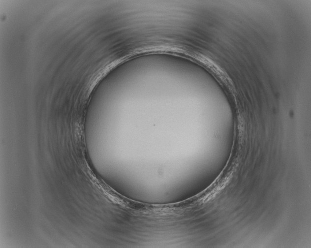 X0000068840993200605261636