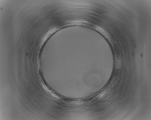 X0000068840994200605261636