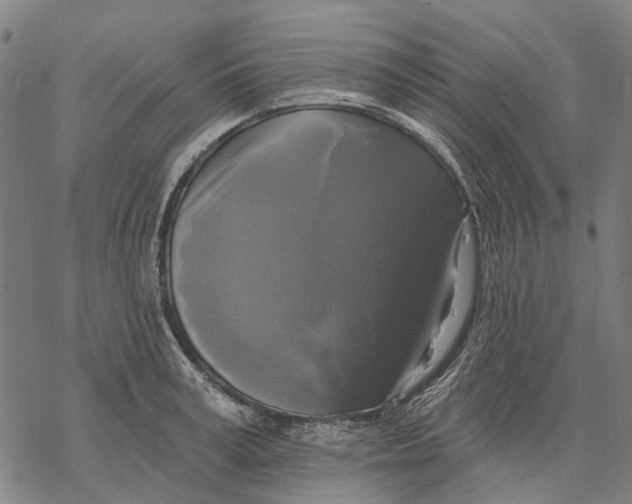 X0000068840995200605261636