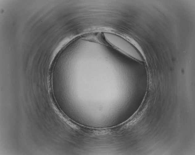 X0000068840997200605261636