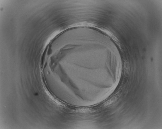 X0000068840998200605261636