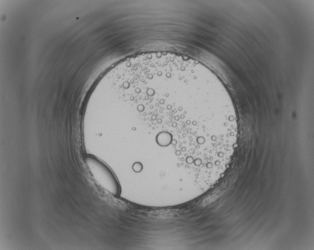 X0000068841000200605261636