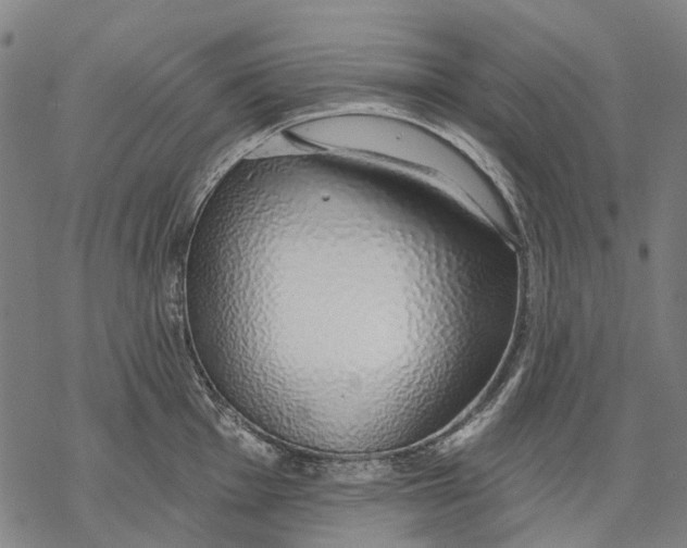 X0000068841001200605261636