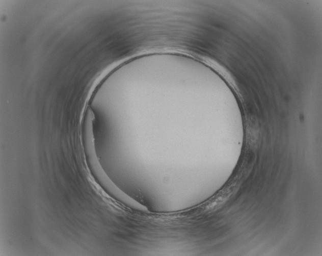 X0000068841004200605261636