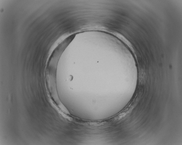 X0000068841005200605261636