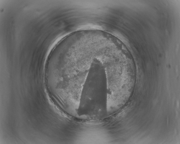 X0000068841008200605261636