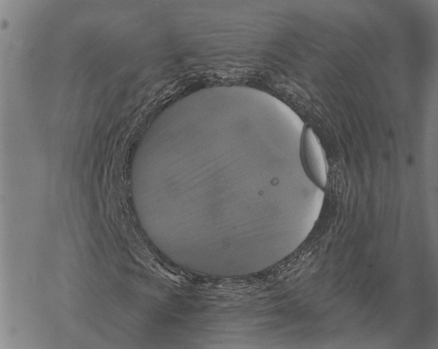 X0000068841009200605261635