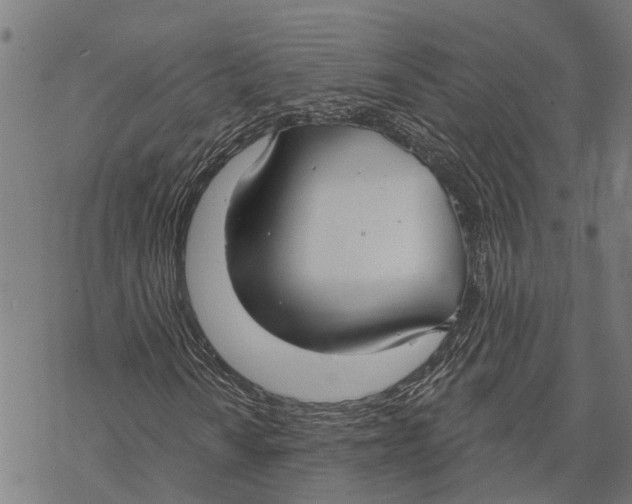 X0000068841010200605261635