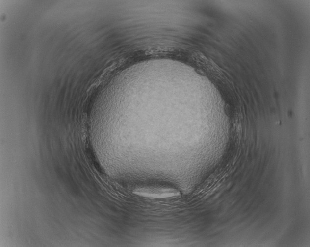 X0000068841012200605261635