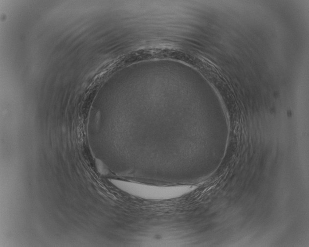 X0000068841014200605261635