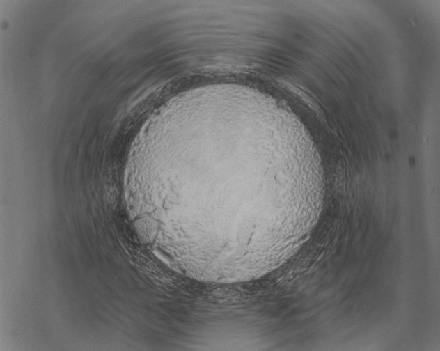 X0000068841015200605261635