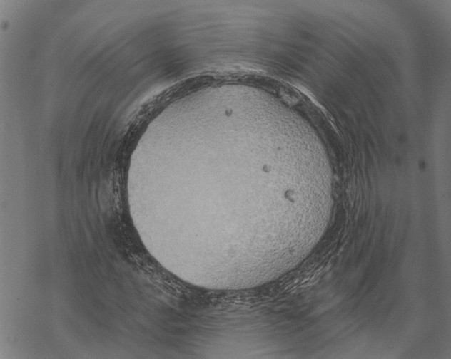 X0000068841016200605261635