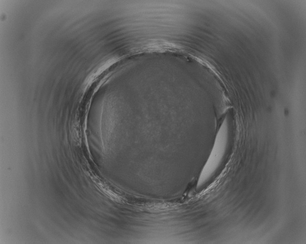 X0000068841018200605261635