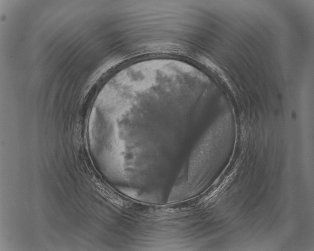 X0000068841019200605261635