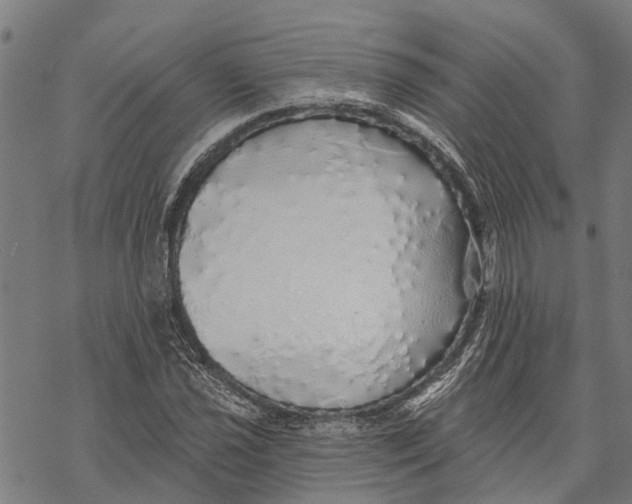 X0000068841021200605261635