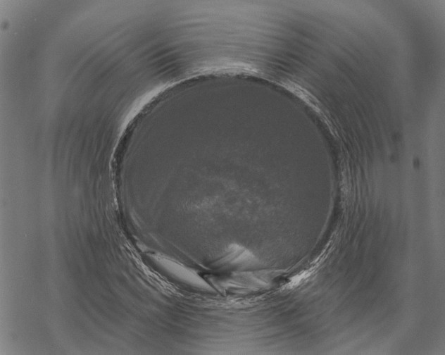 X0000068841022200605261635