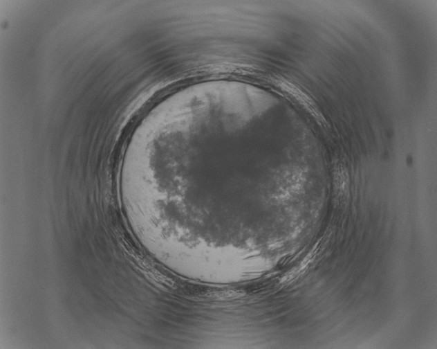 X0000068841023200605261635