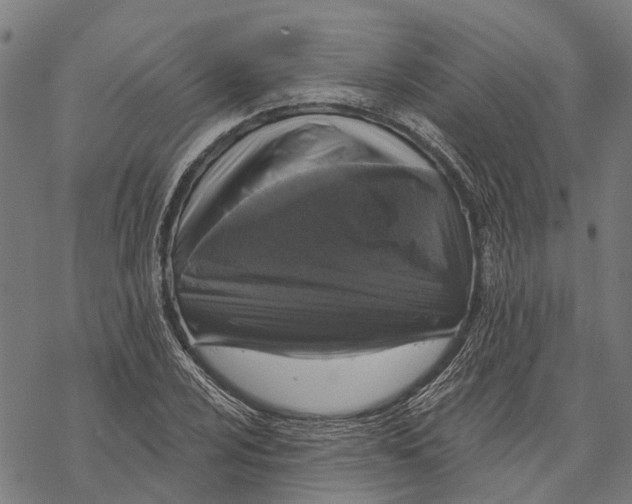 X0000068841024200605261635