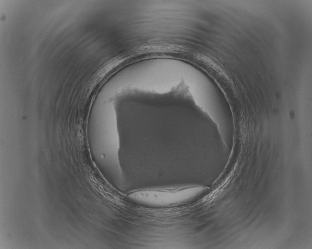 X0000068841025200605261635