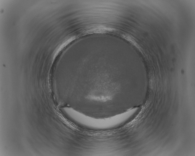 X0000068841026200605261635