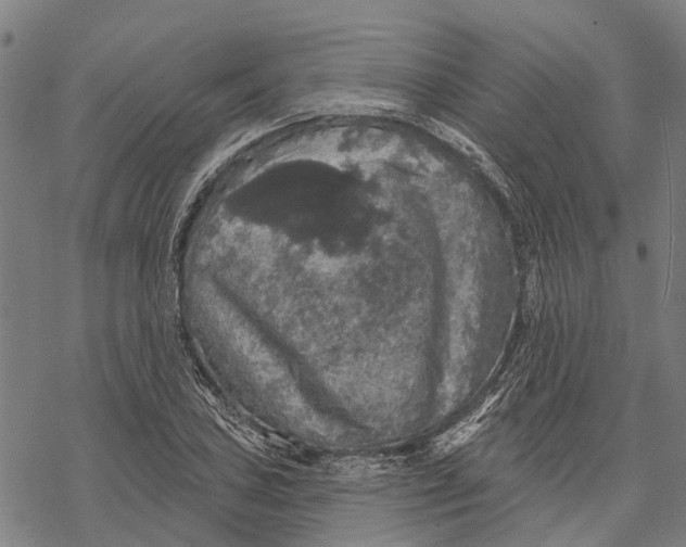 X0000068841027200605261635