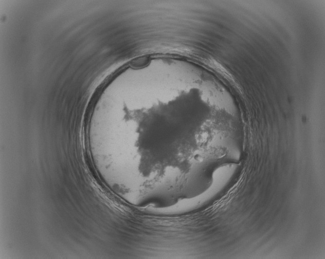 X0000068841028200605261635