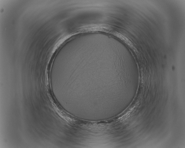 X0000068841031200605261635