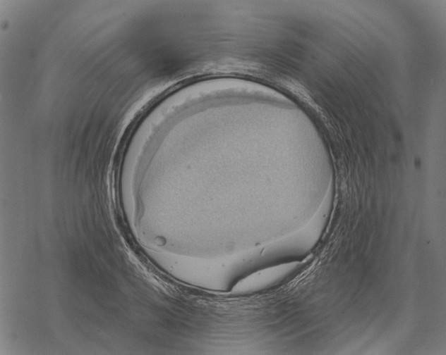 X0000068841032200605261635