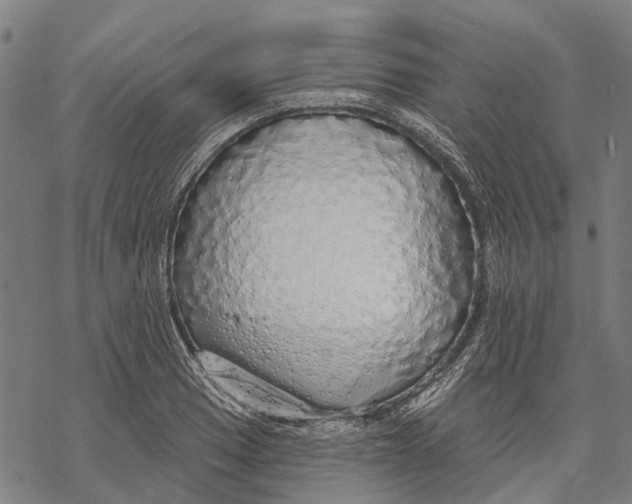 X0000068841033200605261635