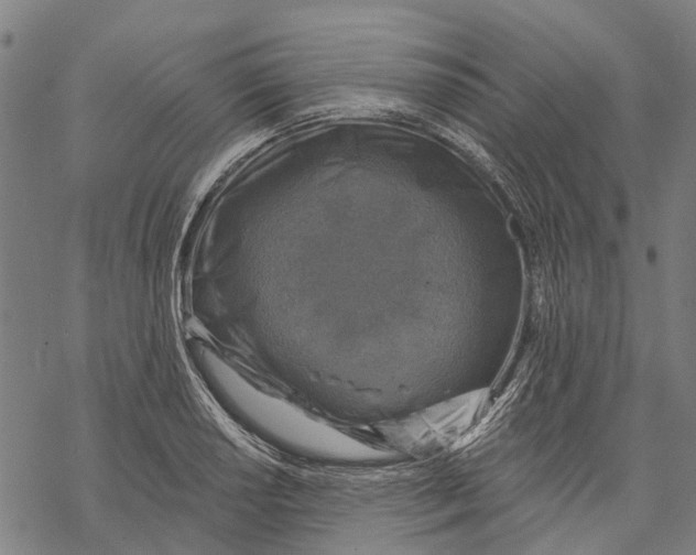 X0000068841034200605261635