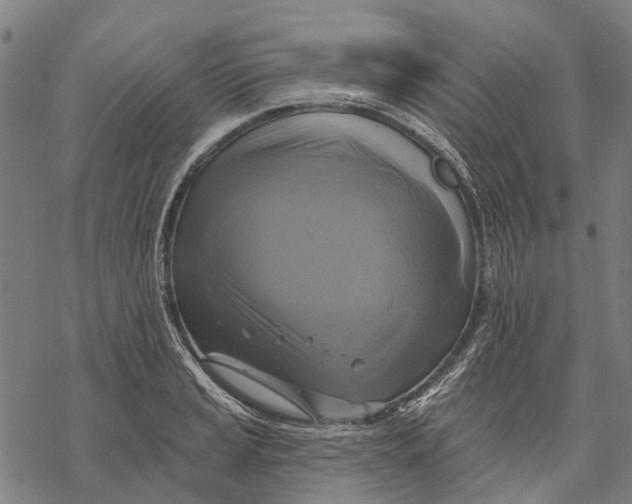 X0000068841037200605261635