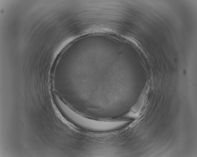 X0000068841038200605261635