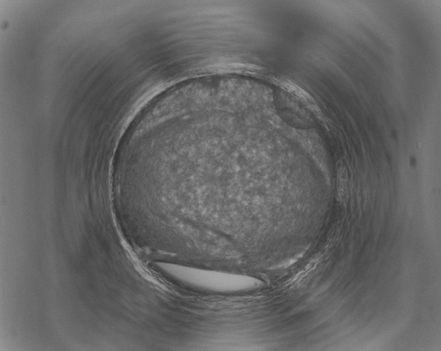 X0000068841039200605261635