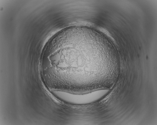 X0000068841040200605261635