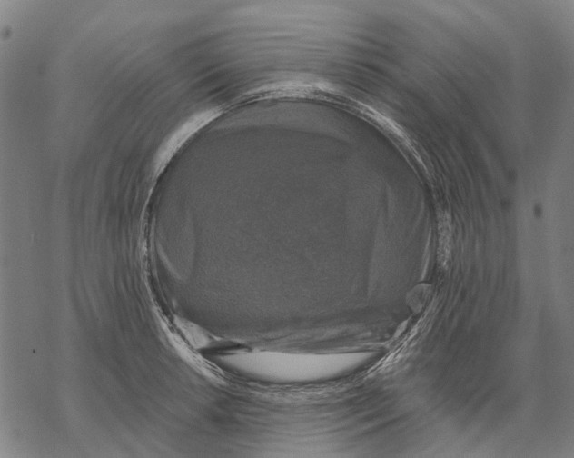 X0000068841042200605261635