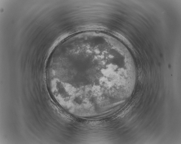 X0000068841043200605261635