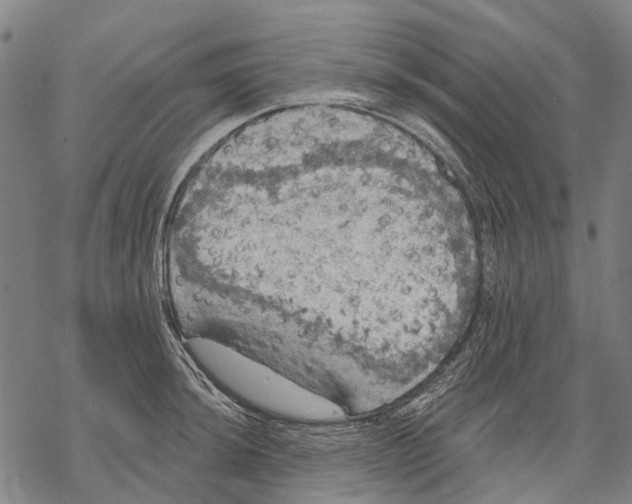 X0000068841044200605261635