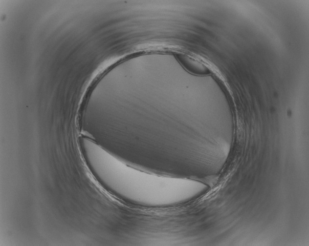 X0000068841045200605261635