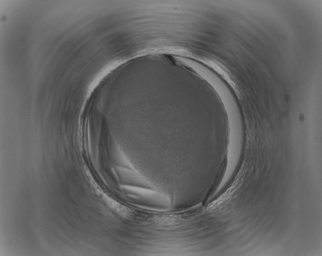 X0000068841046200605261635