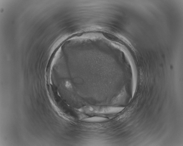 X0000068841047200605261635